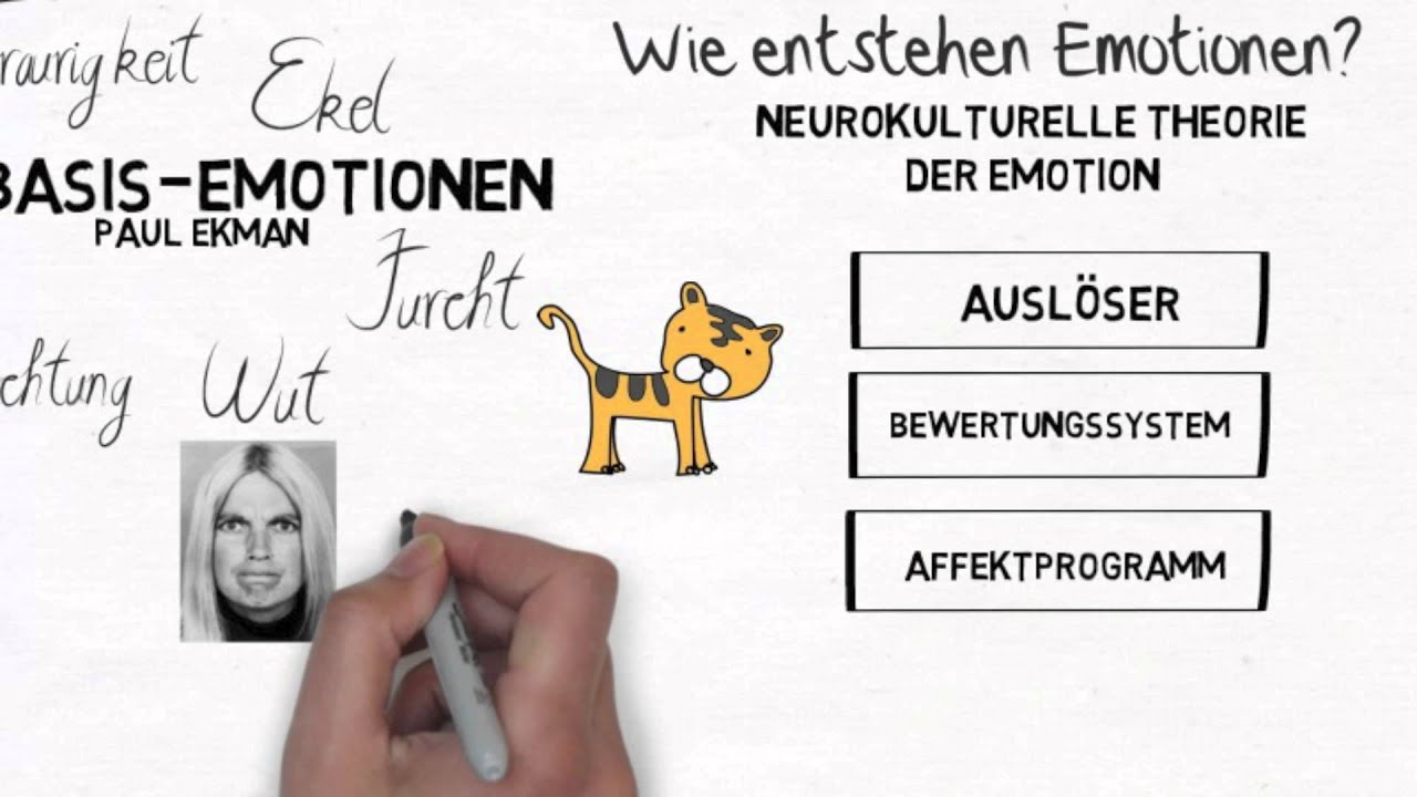 ich.kurs Emotionen erkennen: Basis-Emotionen
