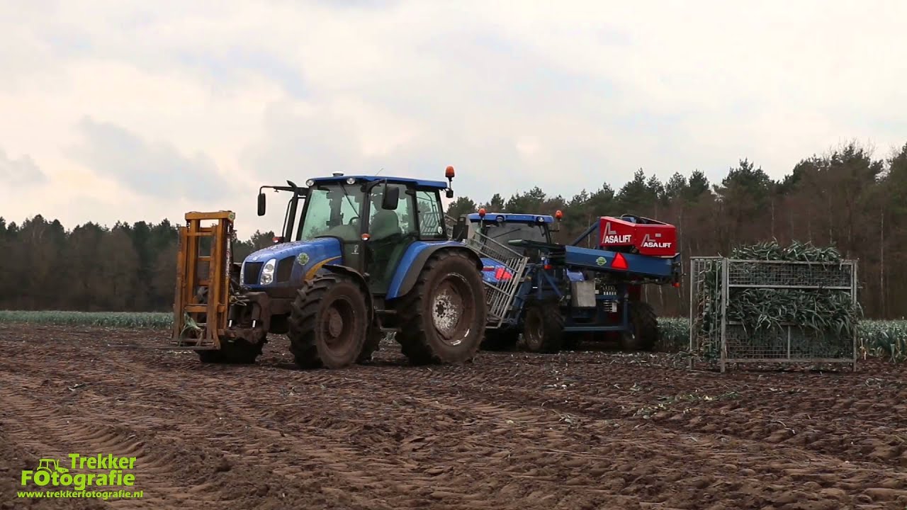 Swinkels groentekwekerij aan het prei rooien