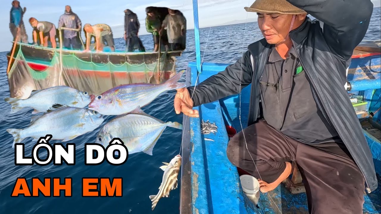637 ) GHE PHA XÚC MAY MẮN, ỘT VÀ ANH EM CŨNG HƯỞNG THEO.