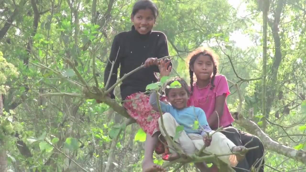 Sauraha Nepal recording and Rhino attack HD