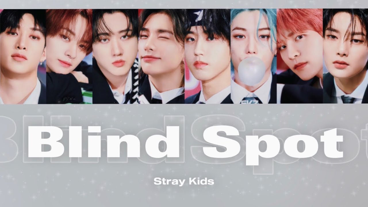 【日本語字幕】Blind Spot(사각지대)/ Stray Kids【和訳/カナルビ/歌詞】