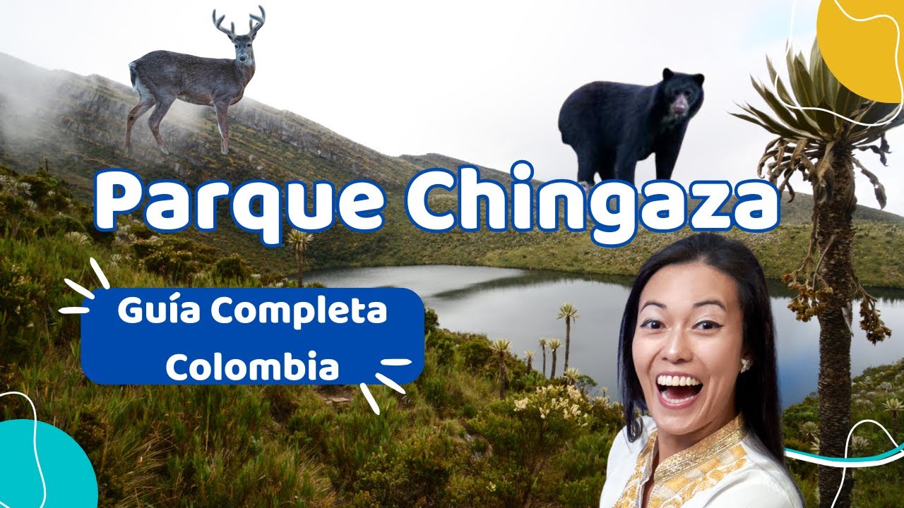 ¿Cómo llegar al Parque Chingaza y ver frailejones, venados y osos?