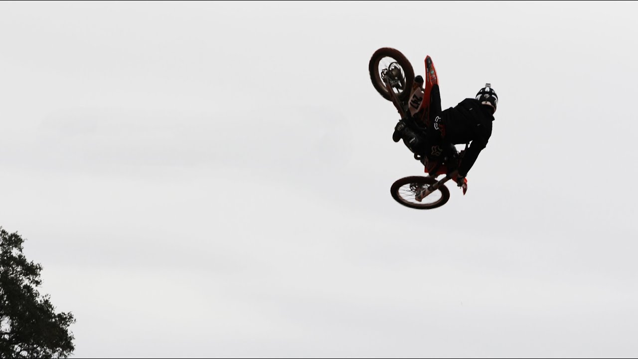 The Arrival | Moto
