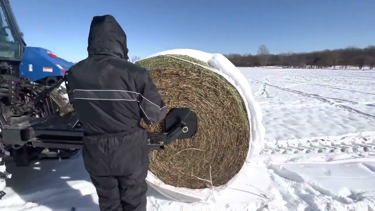 Unrolling a Round Bale Using Parkhurst Manufacturing 3-Point Bale Unroller