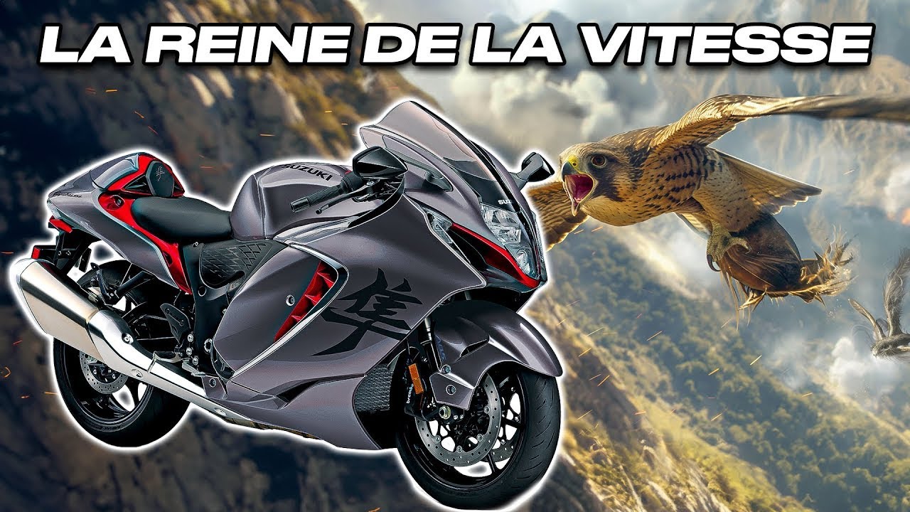 ENCORE LA MOTO LA PLUS RAPIDE AU MONDE? Essai Suzuki Hayabusa 2024