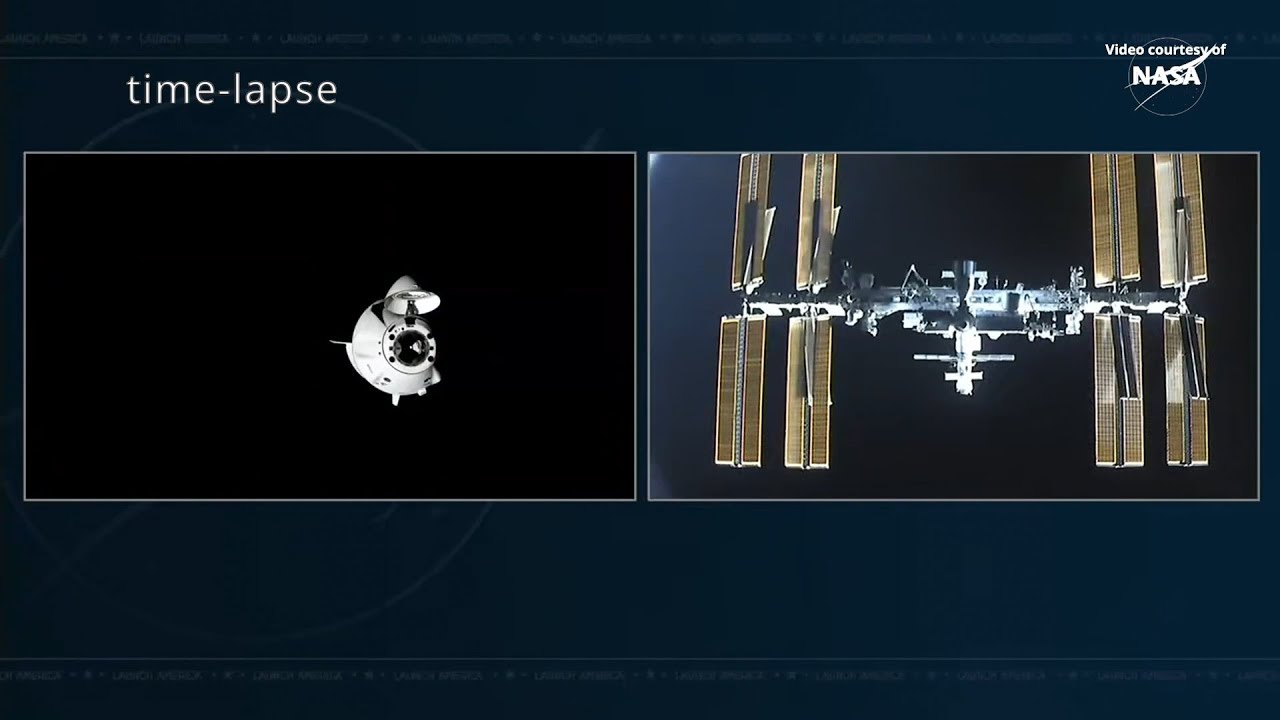 SpaceX Crew-10 docking