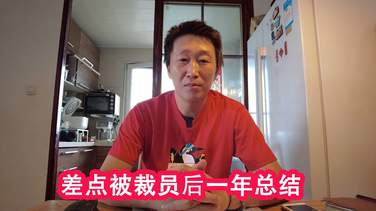vlog024--日常聊天--险些被裁员后一年的感受--这一年都做了些什么--开辟了哪些第二职业--7月25日   HD 1080p