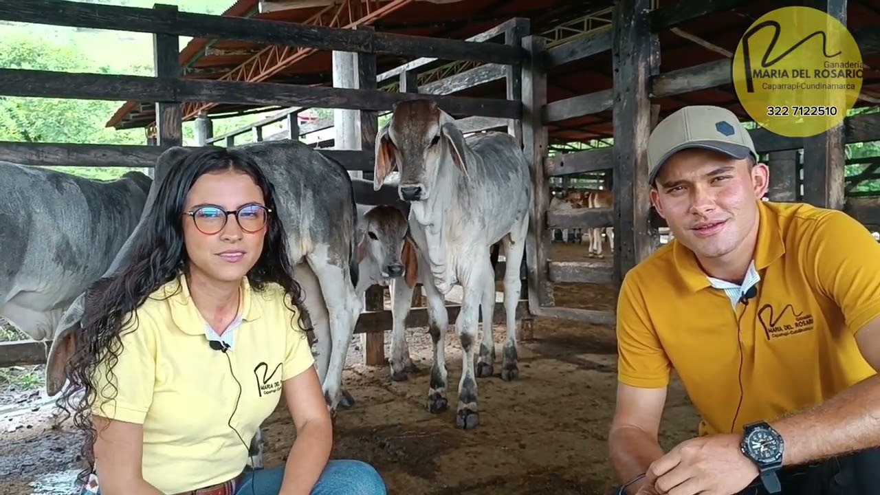 Ganadería María del Rosario Caparrapí Cundinamarca.