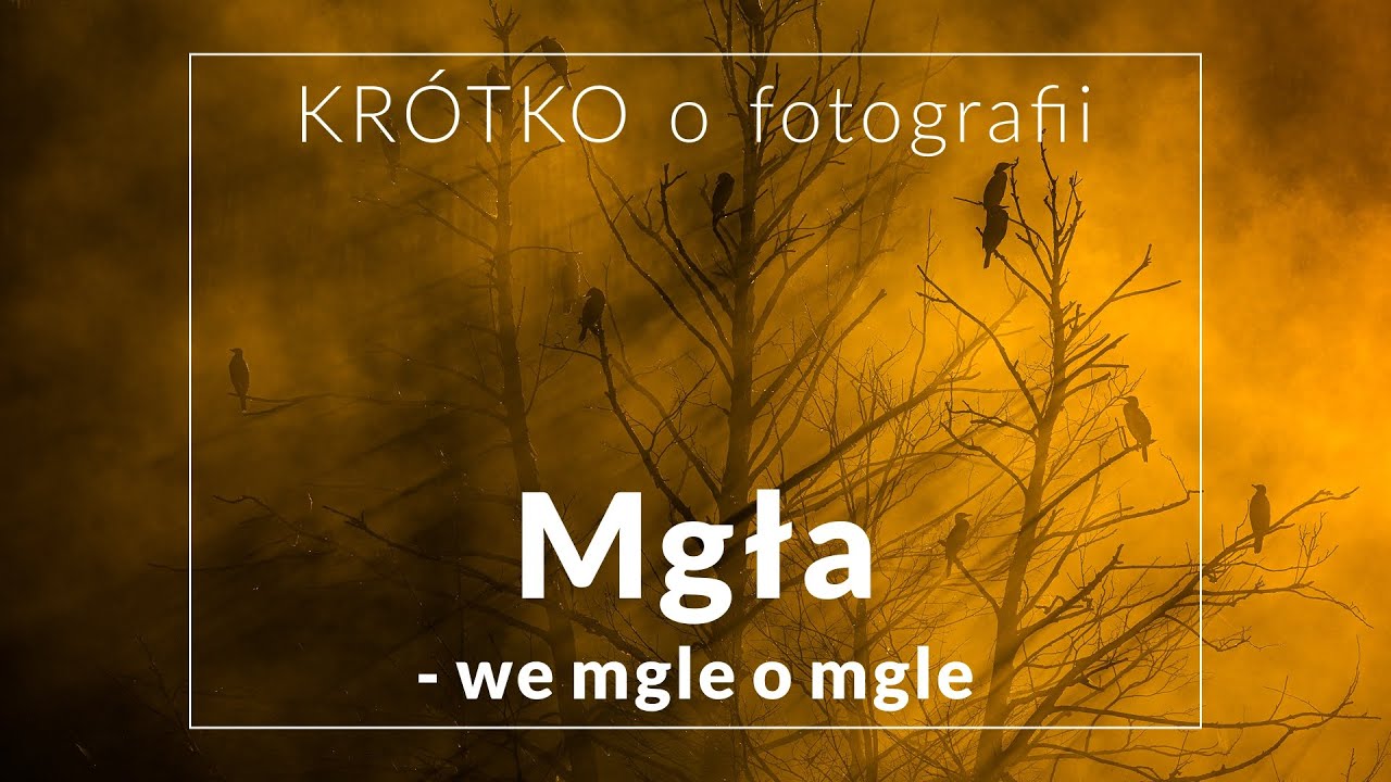MGŁA - we mgle o mgle - KRÓTKO o fotografii
