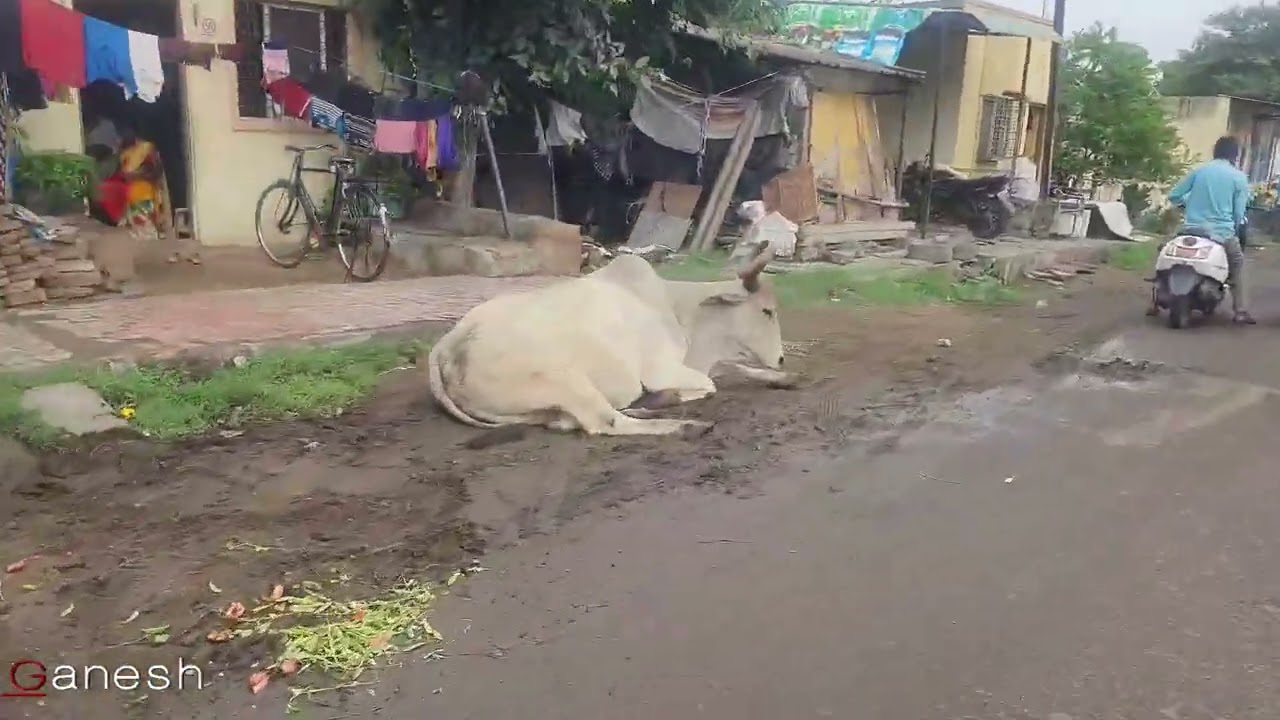 NEURON PLUS || BEST HOSPITAL|| AHMADNAGAR|| GANESH