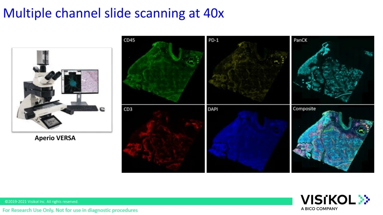 Cytometric Analysis of Immune Cell Populations