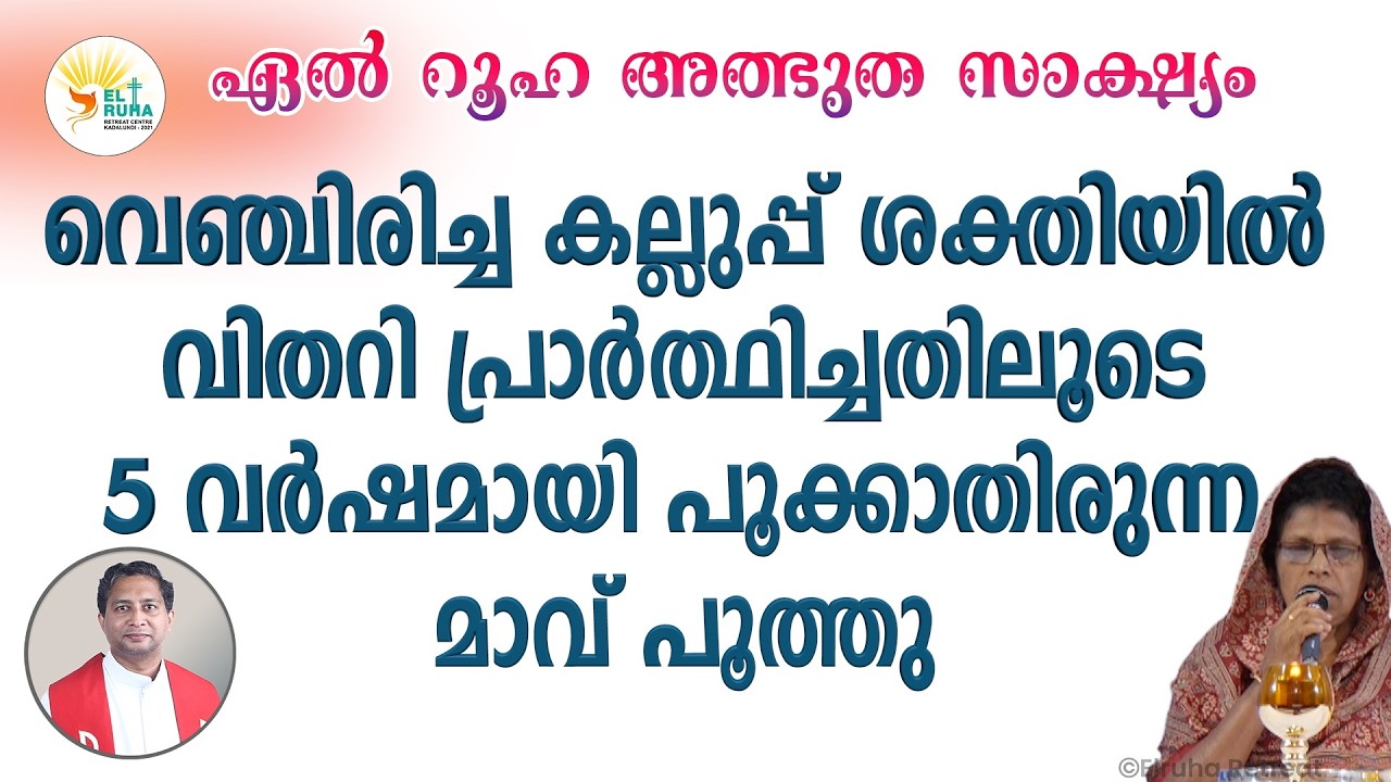 വെഞ്ചിരിച്ച കല്ലുപ്പ് ശക്തിയിൽ വിതറി പ്രാർത്ഥിച്ചതിലൂടെ 5 വർഷമായി പൂക്കാതിരുന്ന മാവ് പൂത്തു