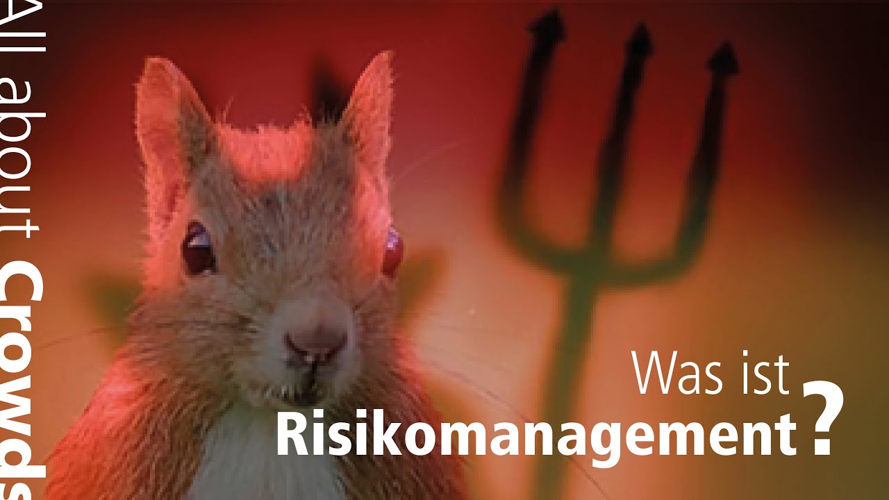 Was ist Risikomanagement? Ma&szlig;nahmen und Risikobewertung.
