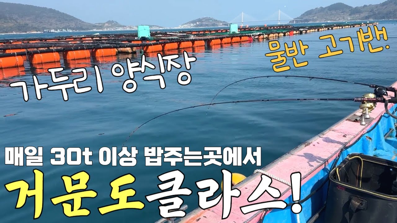매일 30t씩 밥주는 양식장 가운데에서 낚시를 하면 생기는일...!?