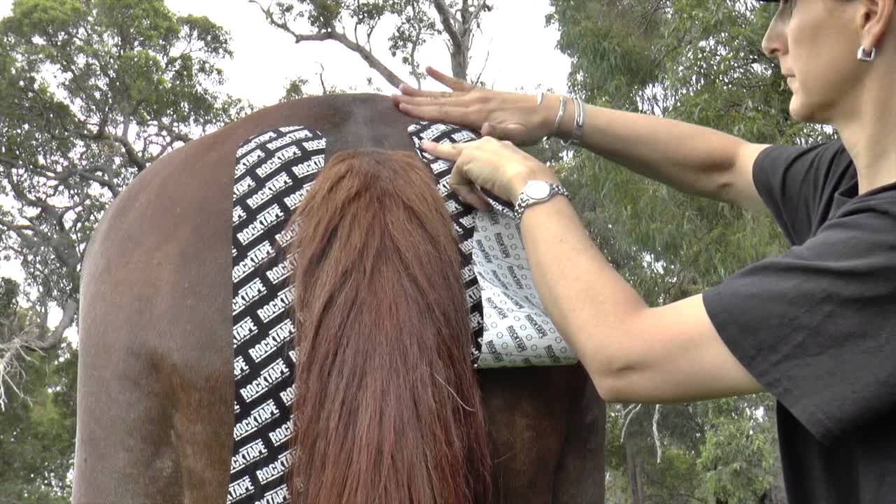 Rocktape Equestrian (Hamstring)