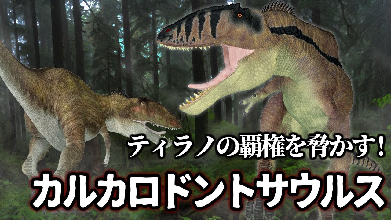 【ゆっくり解説】ティラノサウルスのそっくりさん？！カルカロドントサウルスとは一体何者か？
