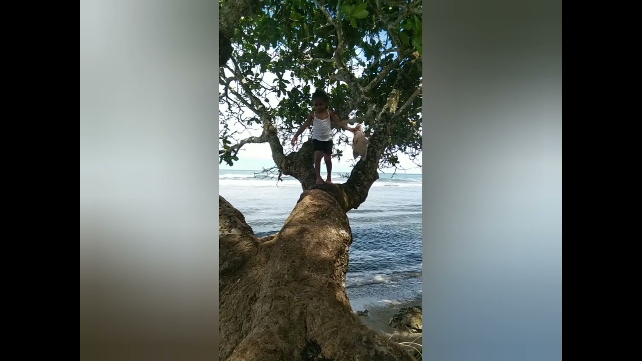 Lagu Terbaru Reage Papua.Karawing pu cinta kandas di Kaka Temto #Lirik Vicky Ambani #musik AI