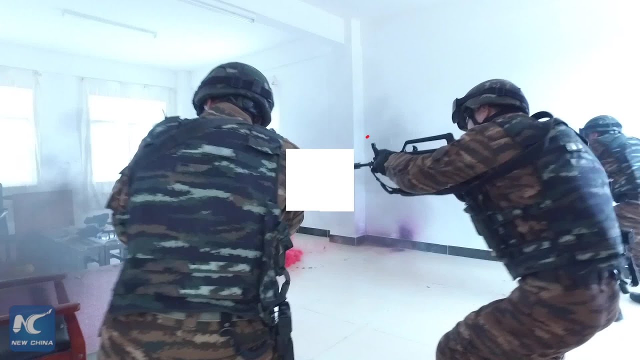 Men of steel: China's Snow Leopard commandos