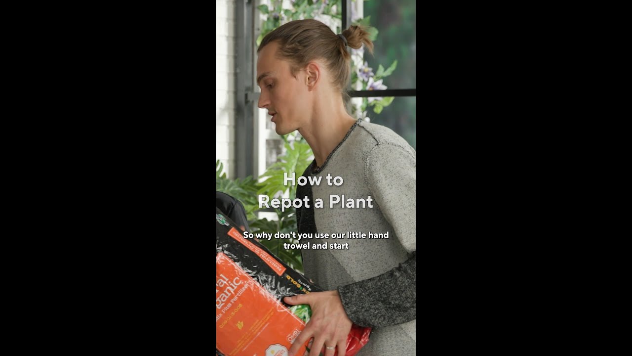 Repotting Plants for Beginners | You Can Do It! | QVC+ HSN+