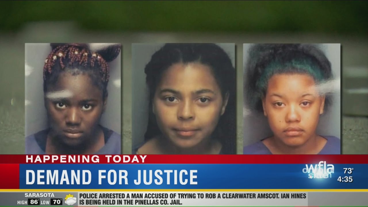 Group faults Pinellas Co. Sheriff's Office with teens' crash, drownings