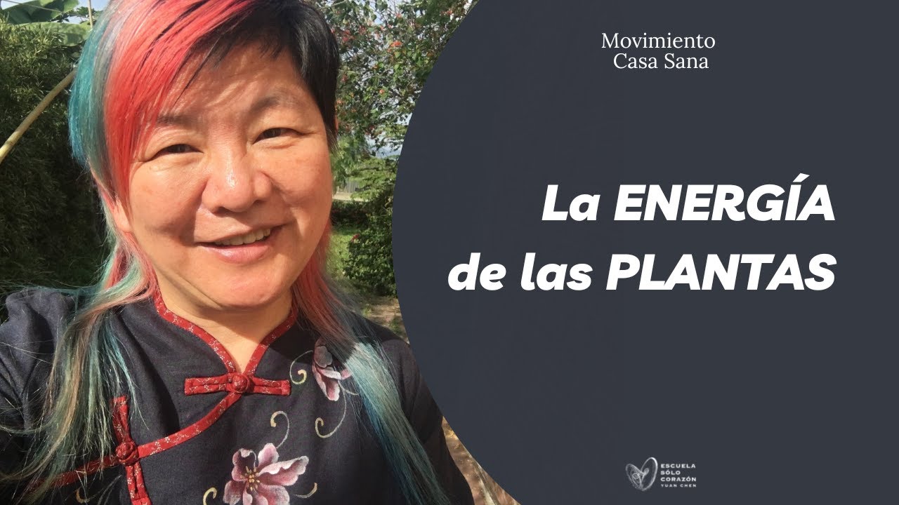 🌱 La ENERGÍA de las PLANTAS 🎍