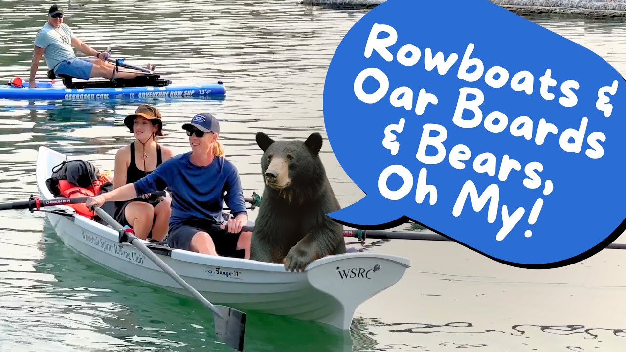 Rowboats And Oar Boards And Bears, Oh My | Episode 15