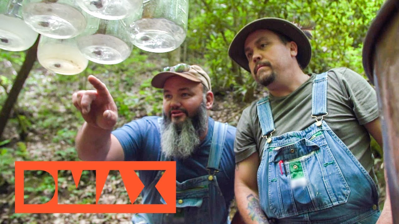 Teurer Wodka aus billigen Kartoffeln? | Moonshiners | DMAX Deutschland