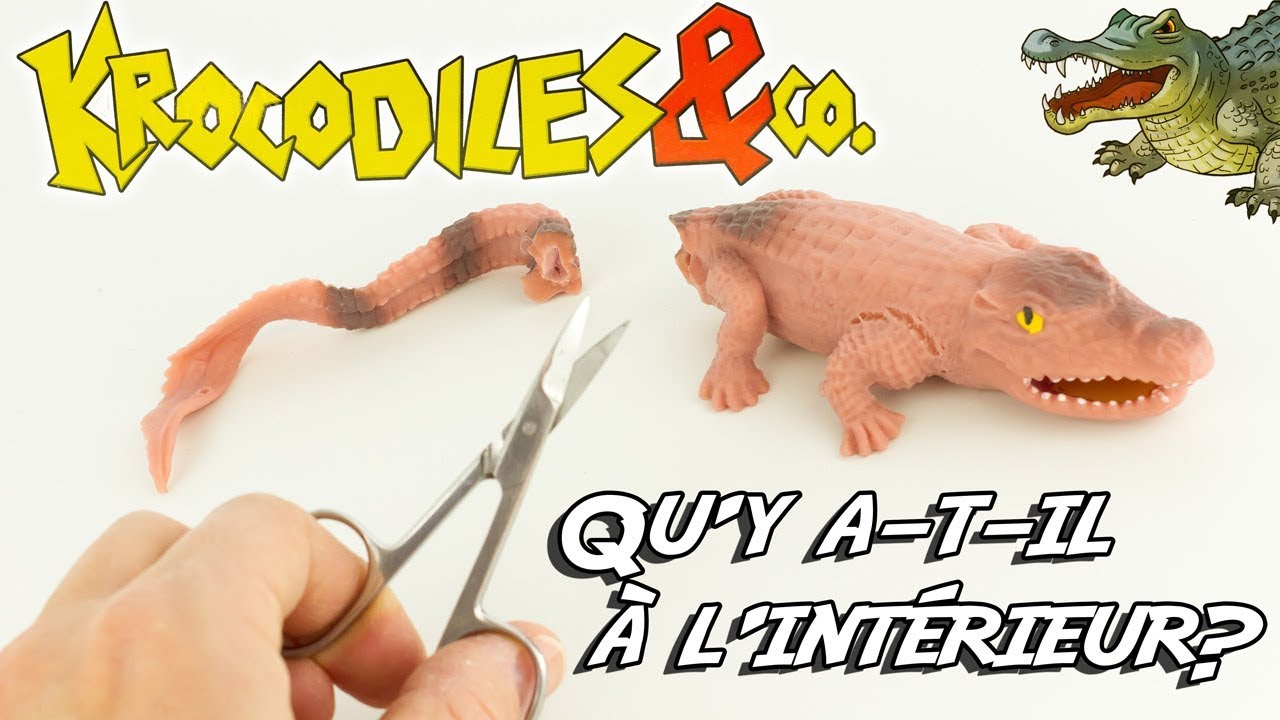 KROCODILES & CO Qu'y a-t-il à l'intérieur? Dissection de crocodile Altaya Cocodrilos