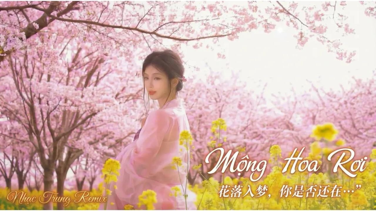 Mộng Hoa Rơi 🌸 | 花落梦 |Cổ Phong EDM Remix 2026