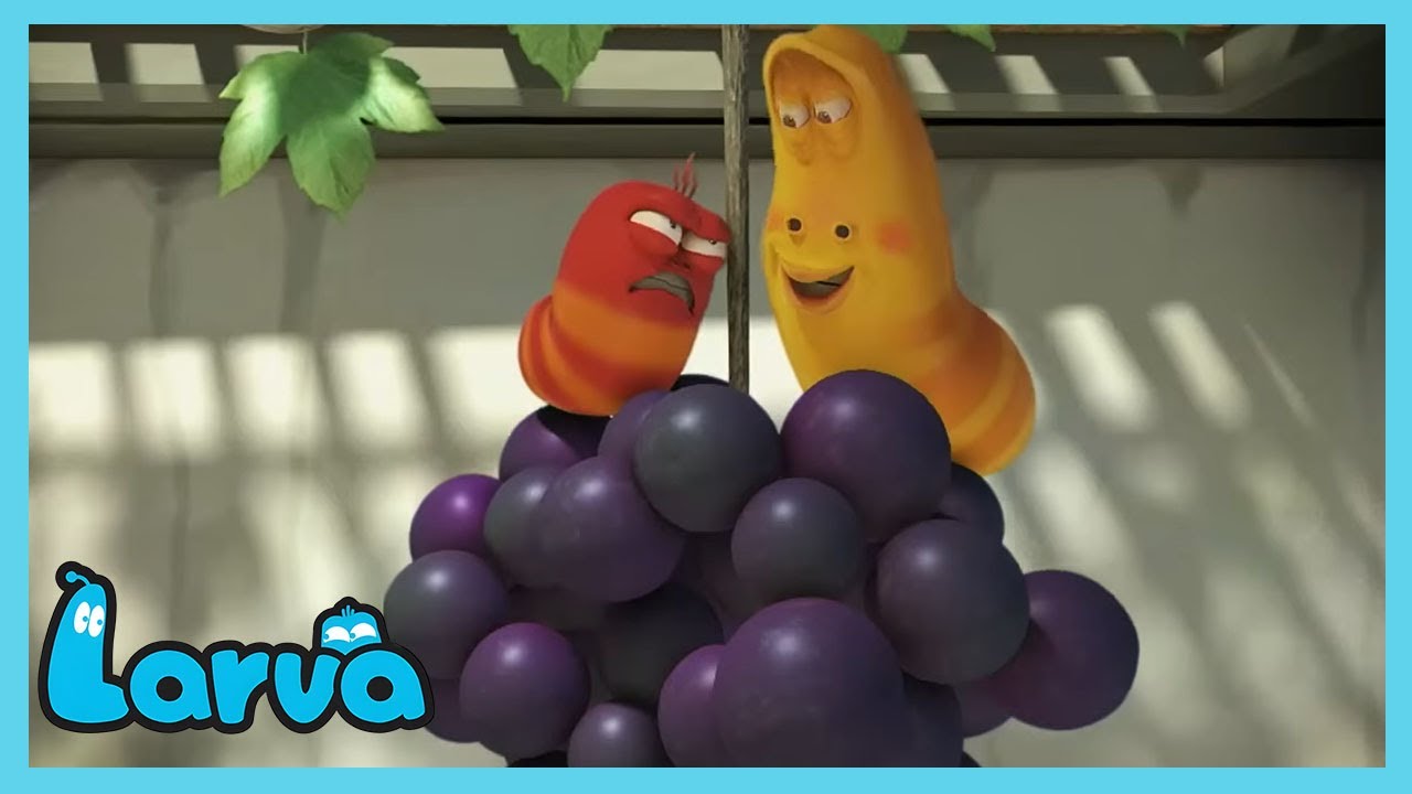 LARVA - Get the berries! | Cartoons for Kids | WildBrain Fizz