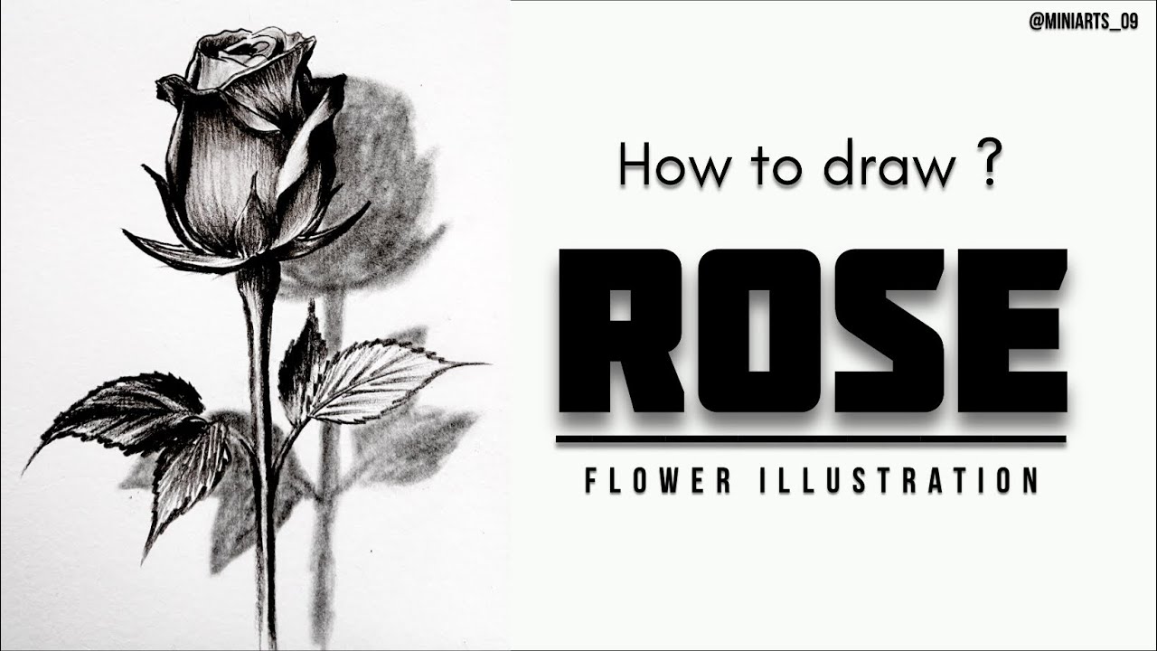HOW TO DRAW A ROSE ?🌹 | Drawing for beginners with very easy steps🤗 #flowerdrawing 