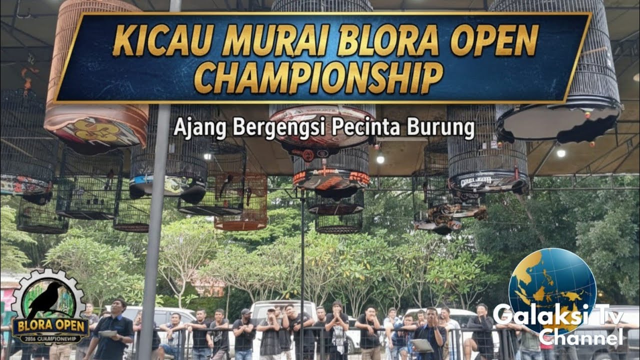 KICAU MURAI BLORA OPEN CHAMPIONSHIP, Ajang Bergengsi Pecinta Burung