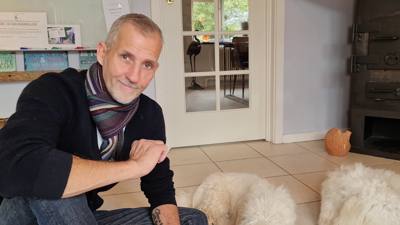2 Havanese, hør om deres udfordring