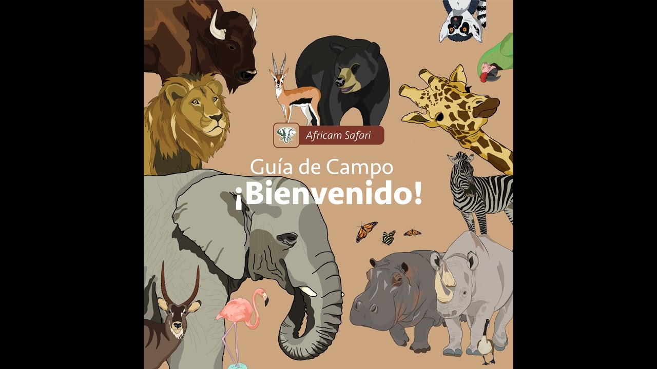 ¡Bienvenidos!