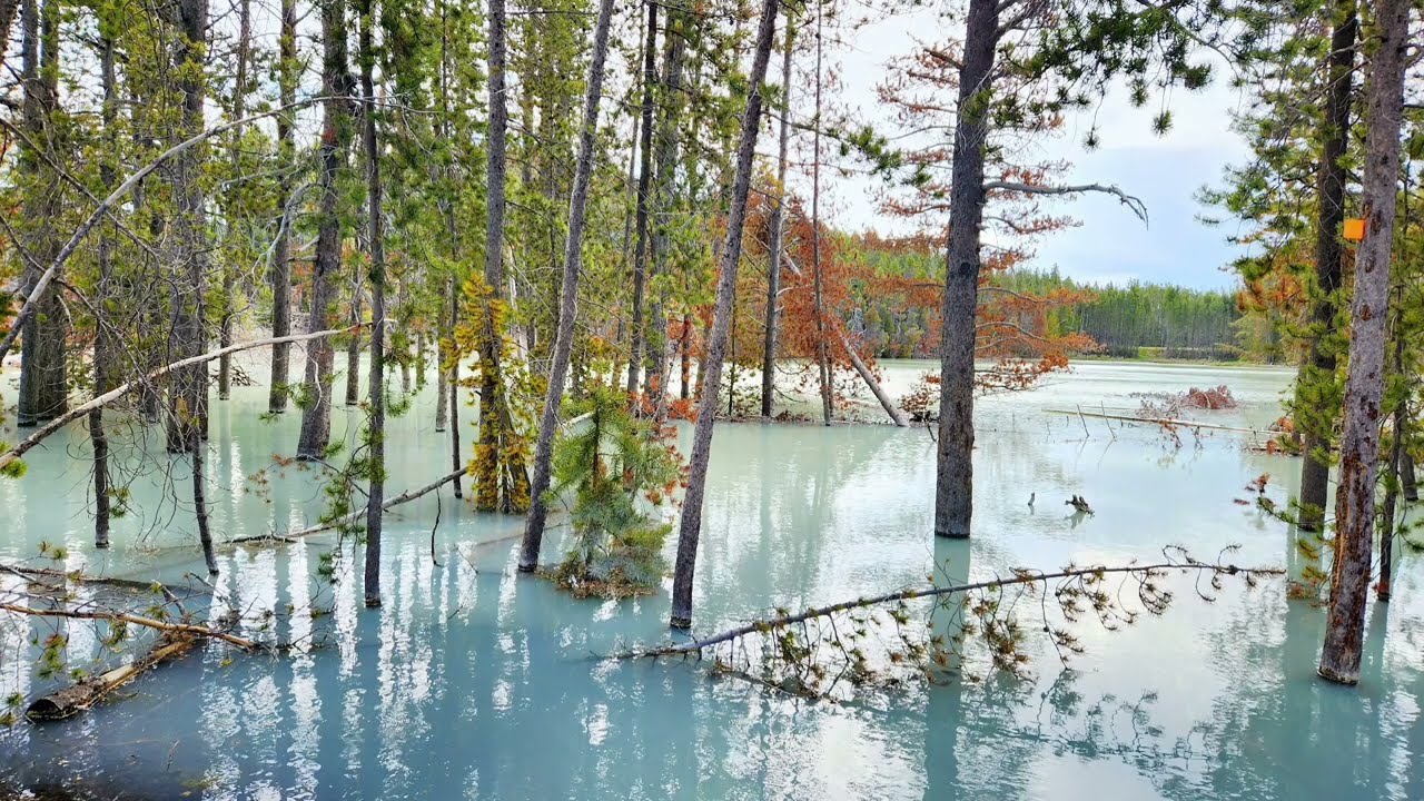 North America Rivers