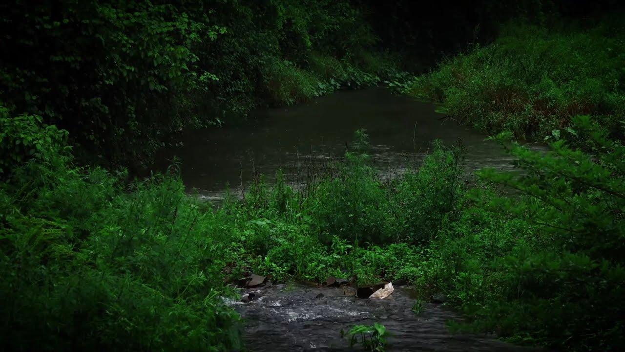 Heavy Rain on a Hidden Forest Creek | Soothing Water ASMR for Sleep