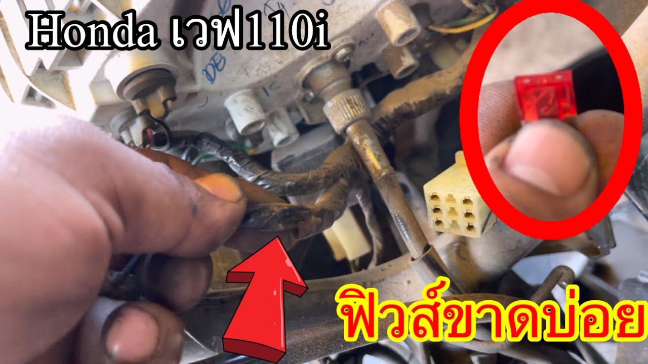 Honda เวฟ110i ฟิวขาดบ่อย ควรเช็คจุดไหนบ้าง เกิดจากอะไร#ฟิวส์ขาดบ่อย