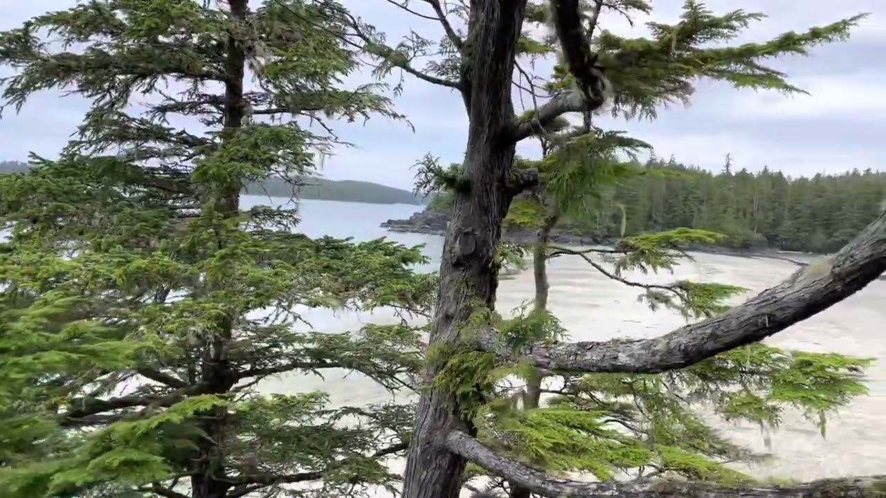 Middle Beach lodge view October