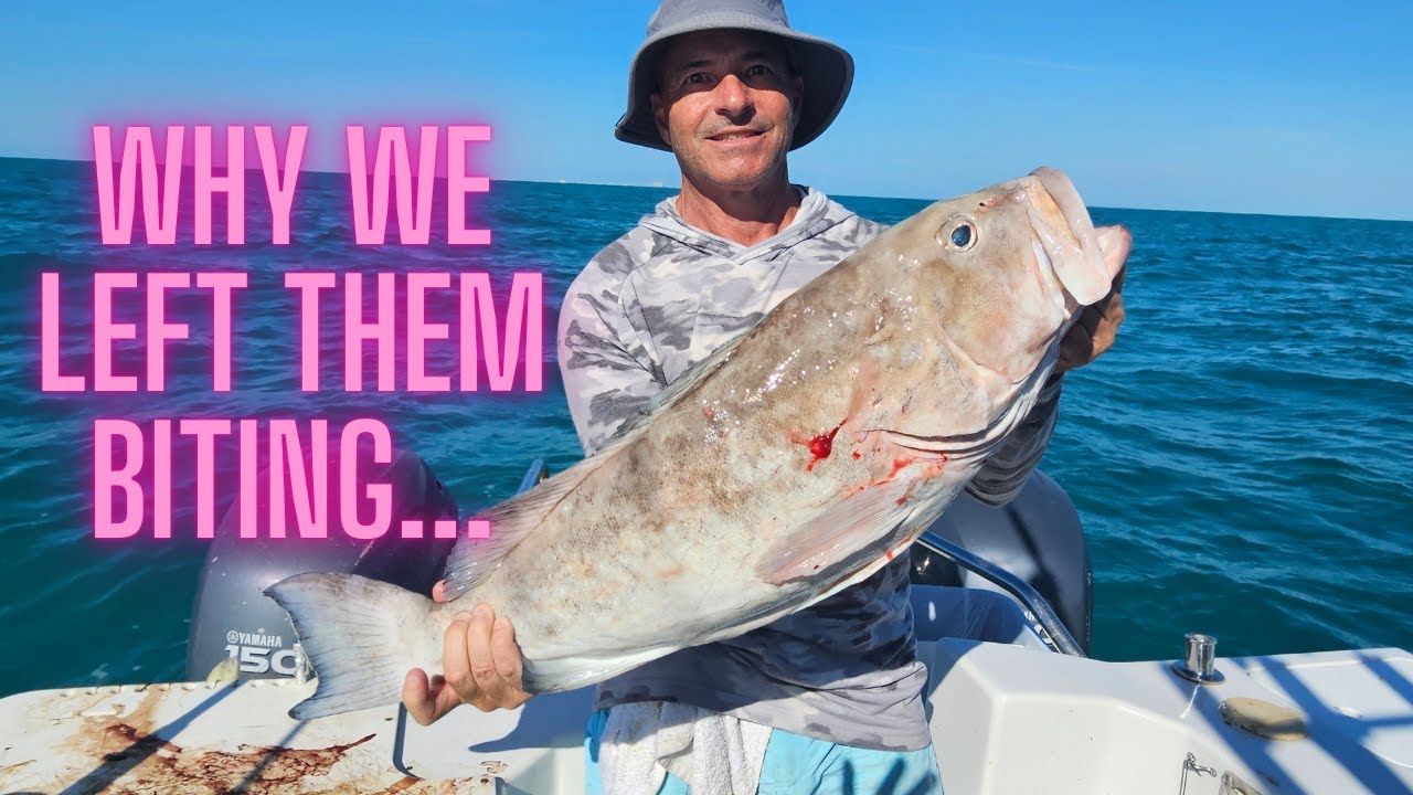 Leaving Big Fish for Smaller Fish - Why This Was DEFINITELY the Right Move!