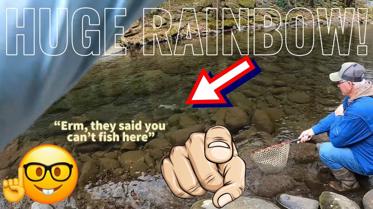 Huge Rainbow Trout on the FLY‼️ (Downtown Gatlinburg trout fishing!)
