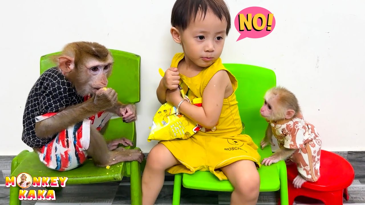 Monkey Mit is sad because Diem and Monkey Kaka don't share food