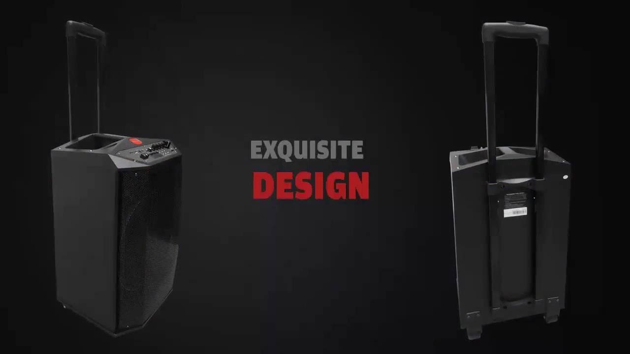 Punta PTS 12000 BT Trolley Speaker