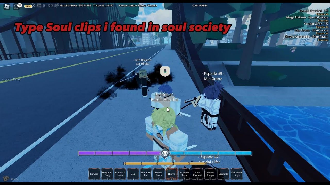 Type Soul clips I found in Soul Society
