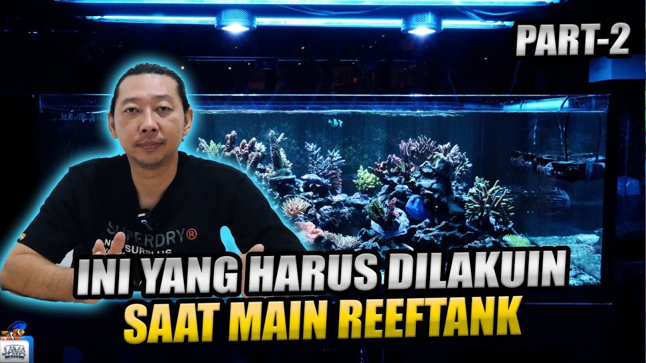 MAU PUNYA AKUARIUM AIR LAUT HARUS 
