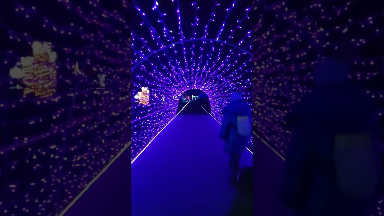 Deli park 😍