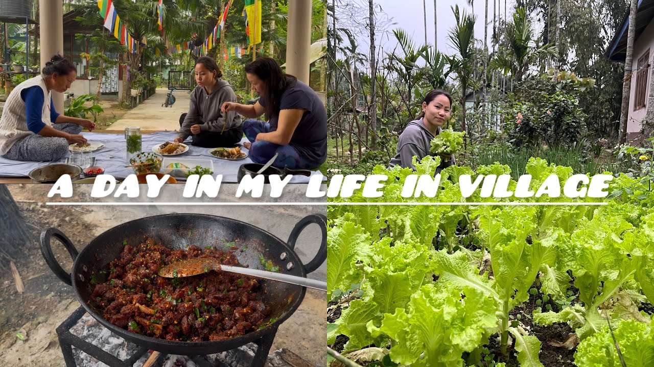 A  Day In My Life In Village ✨🌸🎀 Cooking With My Own Organic Cooking Garden 🥬🍅 