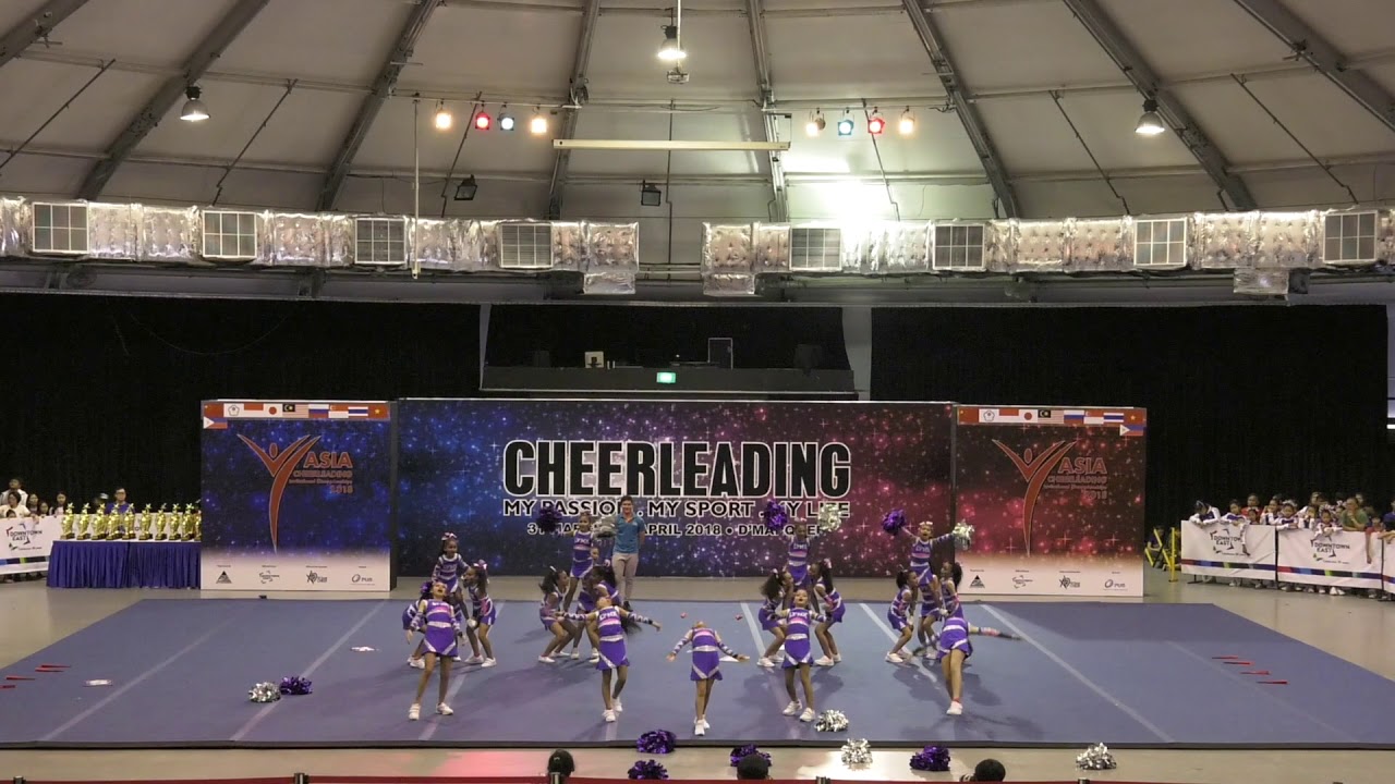 ACIC 2018 Team 62  Lady Lynx