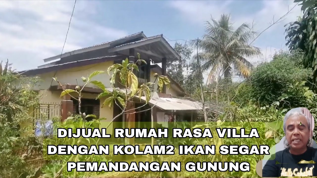 DI JUAL RUMAH RASA VILLA KOLAM IKAN KOI CANTIK PEMANDANGAN GUNUNG VIDEO REACTION