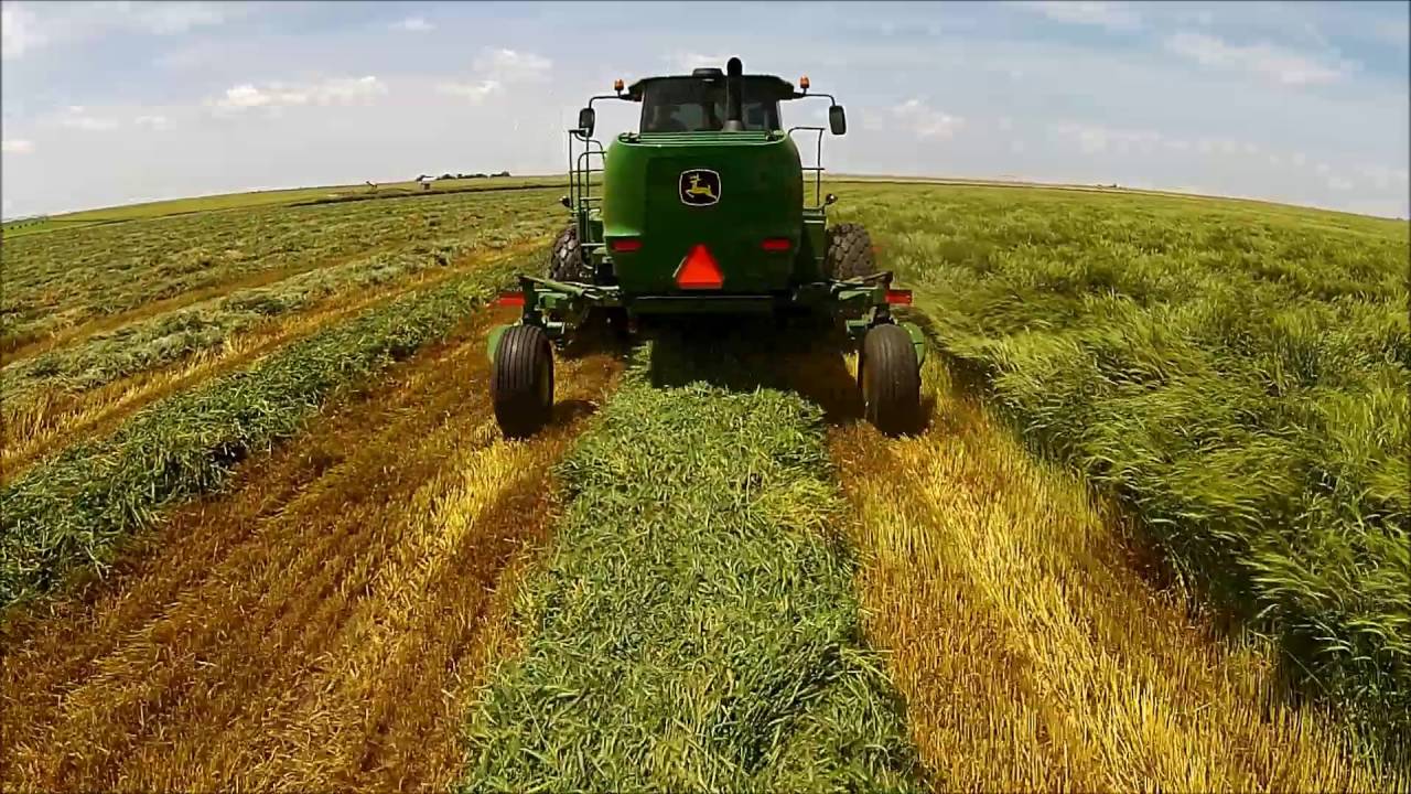 John Deere W260 Windrower Demo