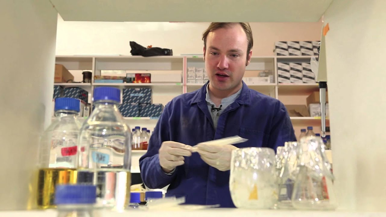 how to make chemically competent E coli